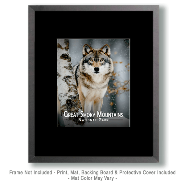 Great Smoky Mountains - Grey Wolf by Birch Art