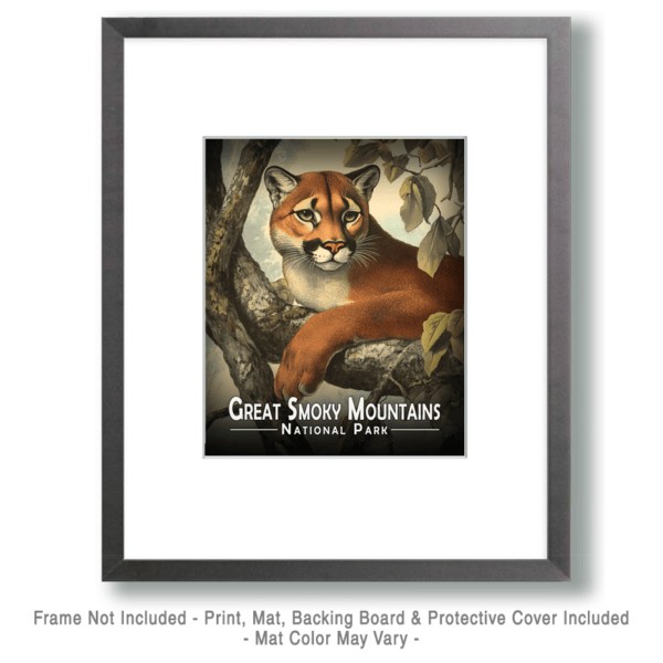 Great Smoky Mountains - Mountain Lion Relaxing Art