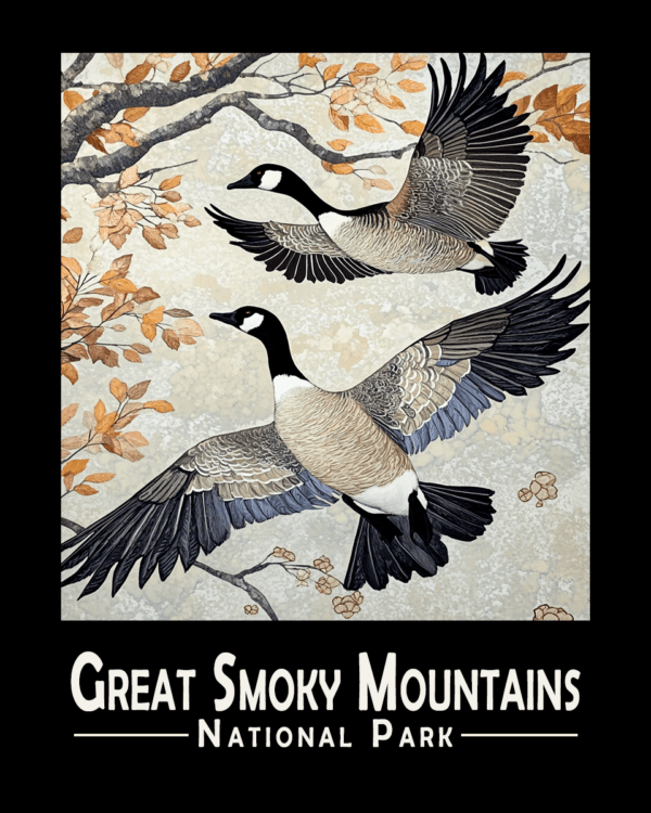 Great Smoky Mountains - Two Canadian Geese