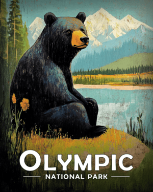 Olympic National Park - Folk Art Black Bear by Lake