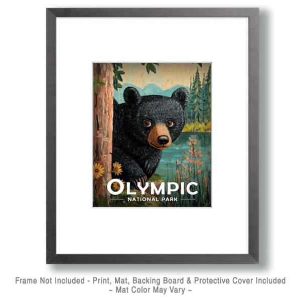 Olympic National Park - Peek-a-Boo Bear Art