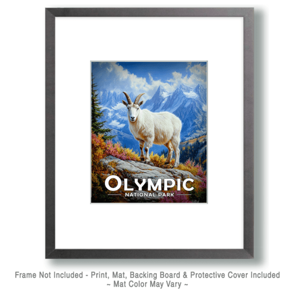 Olympic National Park - Mountain Goat Art