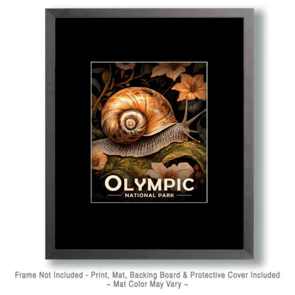 Olympic National Park - Forest Snail Art