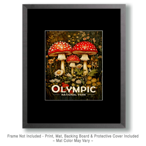 Olympic National Park - Amanitas Art