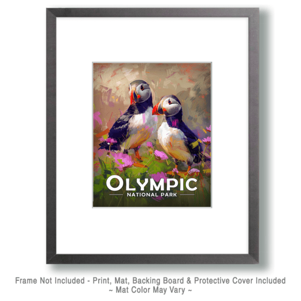 Olympic National Park - Pair of Puffins Art