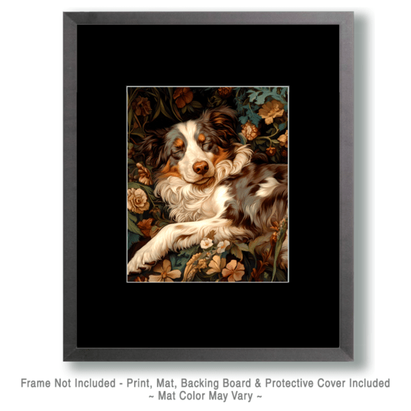 Sleepy Australian Shepherd Art