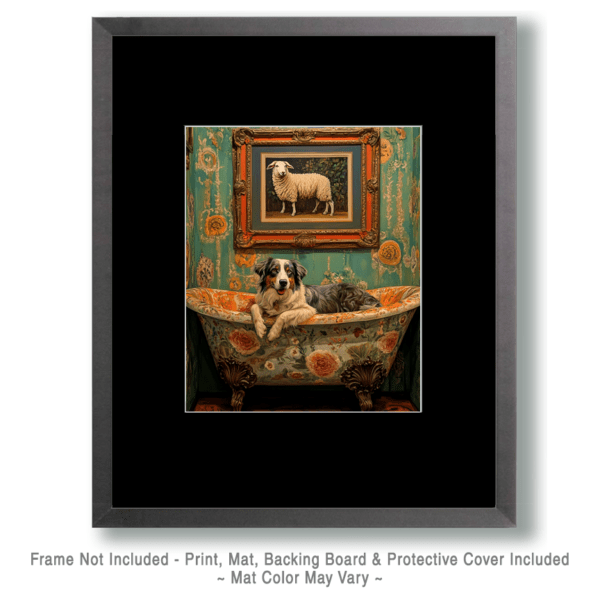 Australian Shepherd in Bathtub with Sheep Art Print