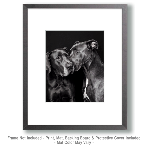 Great Dane Friends Art