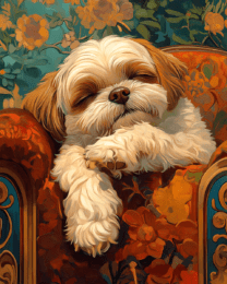 Exhausted Shih Tzu