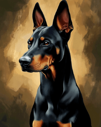 Doberman Pinscher Portrait