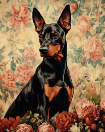 Old Fashion Doberman Pinscher