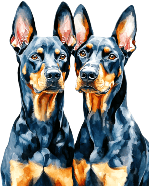 A Pair of Doberman Pinschers