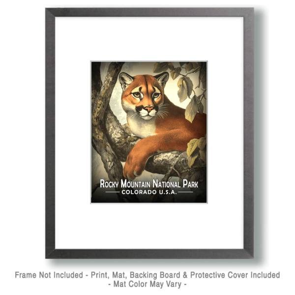 Rocky Mountain National Park - Vintage Mountain Lion Art