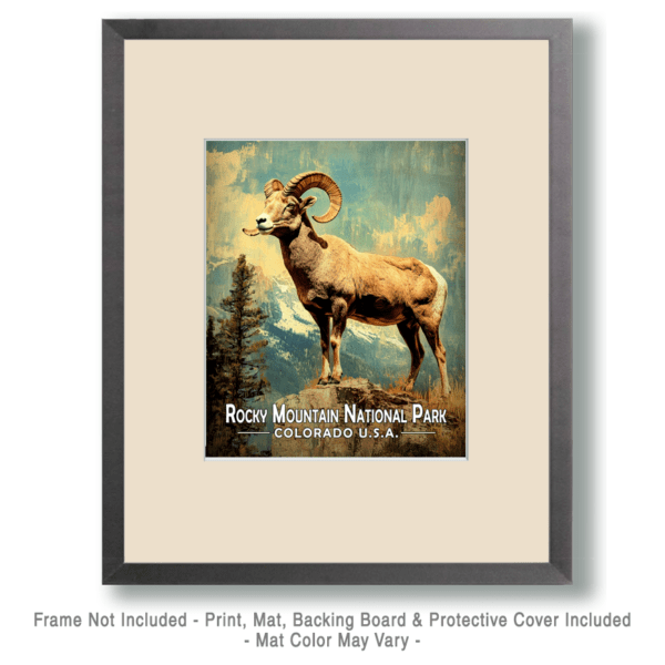 Rocky Mountain National Park - Vintage Bighorn Sheep Art