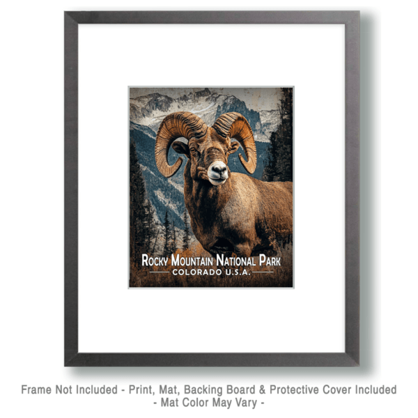 Rocky Mountain National Park - Bighorn Ram Art