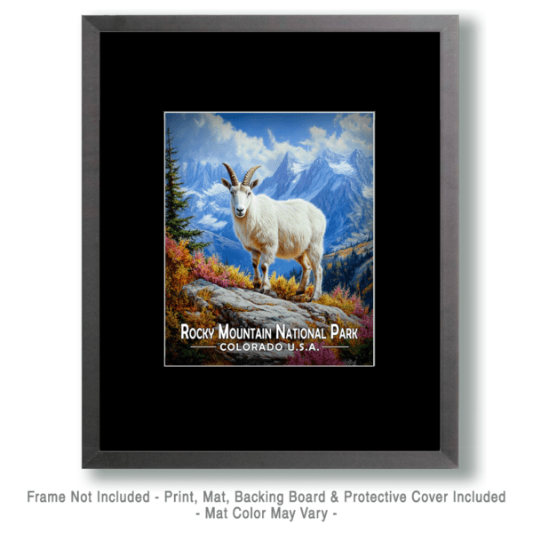 Rocky Mountain National Park - Classic Mountain Goat Art