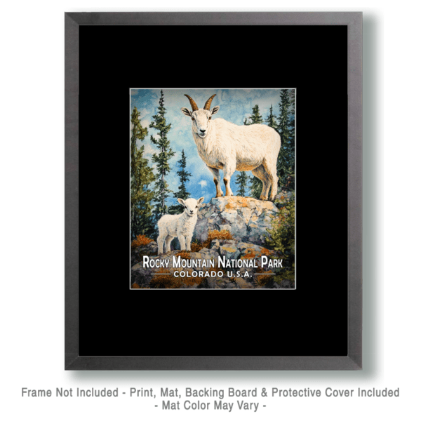 Rocky Mountain National Park - Mother and Baby Mountain Goat Art