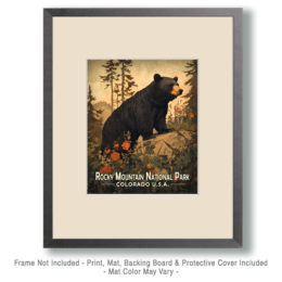 Rocky Mountain National Park - Antique Black Bear Art