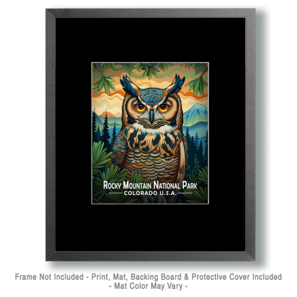 Rocky Mountain National Park - Stylized Owl Art