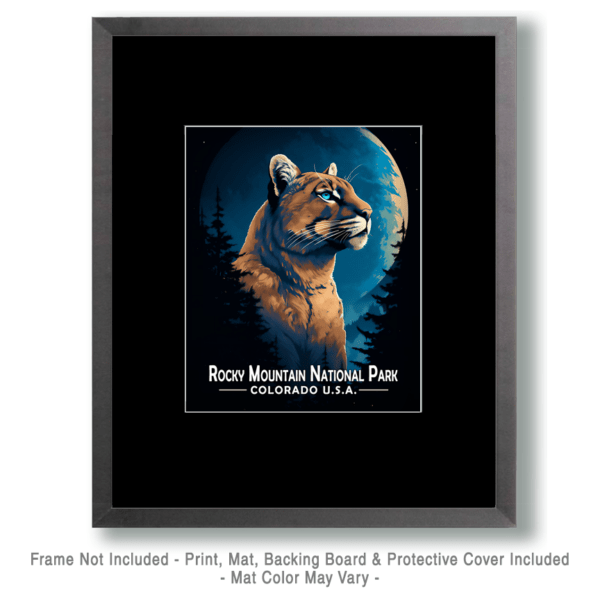 Rocky Mountain National Park - Midnight Mountain Lion Art