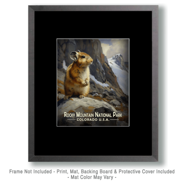 Rocky Mountain National Park - Alert Pika Art