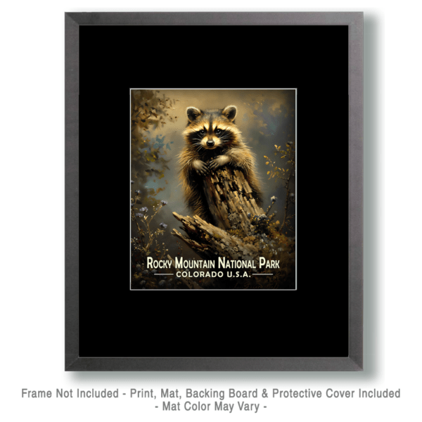 Rocky Mountain National Park - Raccoon Kit Art