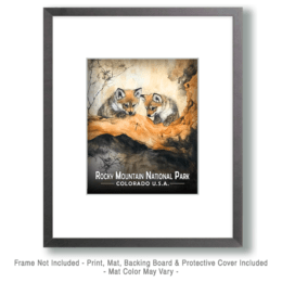 Rocky Mountain National Park - Wolf Pups Art