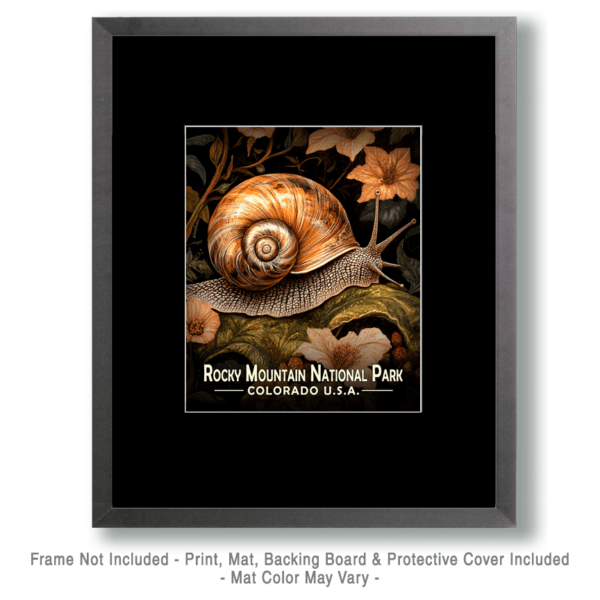 Rocky Mountain National Park - Woodland Snail Art