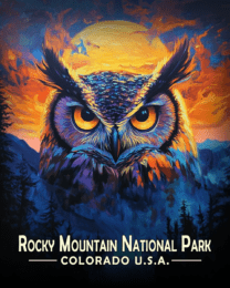 Rocky Mountain National Park - Midnight Owl