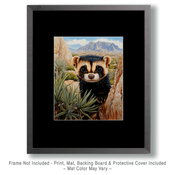 Blackfooted Ferret Peeking Out Art