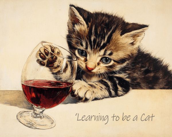 Learning to be a Cat