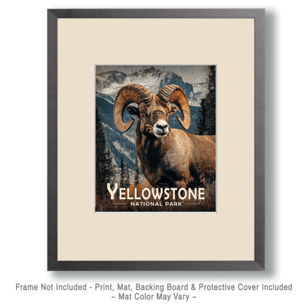 Yellowstone National Park - Bighorn Ram Art