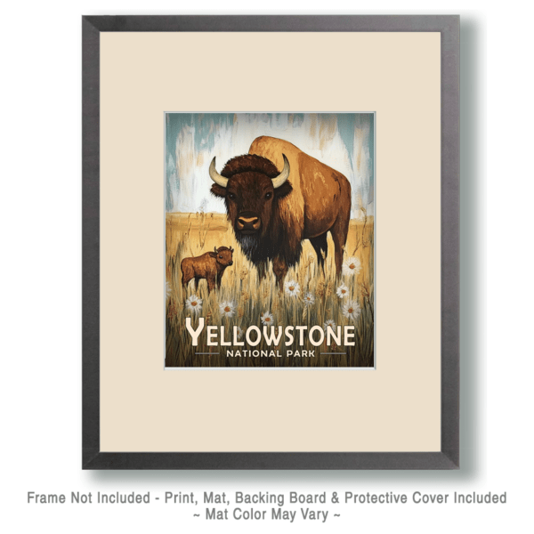 Yellowstone National Park - Bison and Baby Art