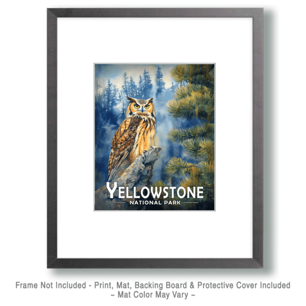 Yellowstone National Park - Great Horned Owl on Branch Art