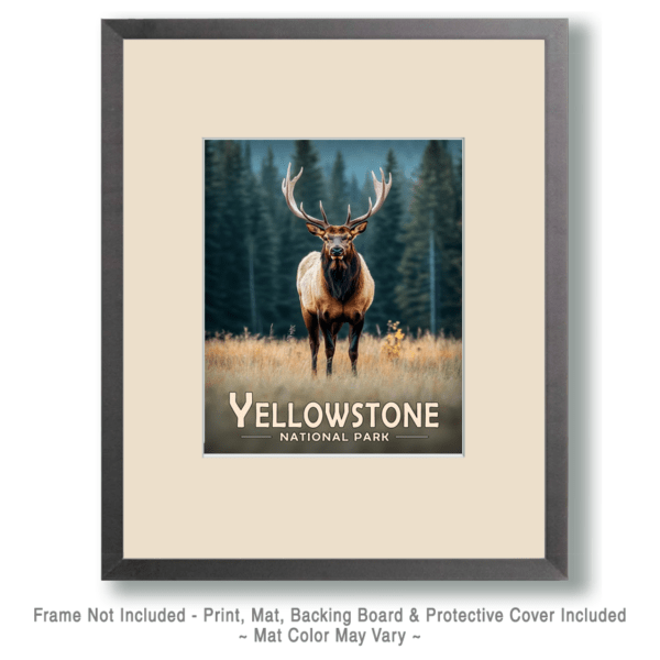 Yellowstone National Park - Bull Elk Art