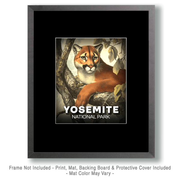 Yosemite National Park - Vintage Cougar Art