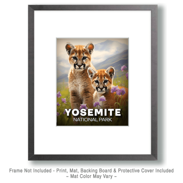 Yosemite National Park -Mountain Lion Cubs Art