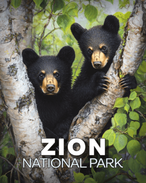 Zion National Park - Two Bear Cubs