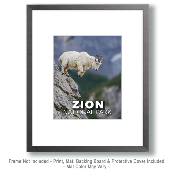 Zion National Park - Jumping Mountain Goat Art