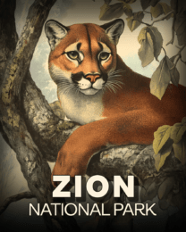 Zion National Park - Vintage Mountain Lion