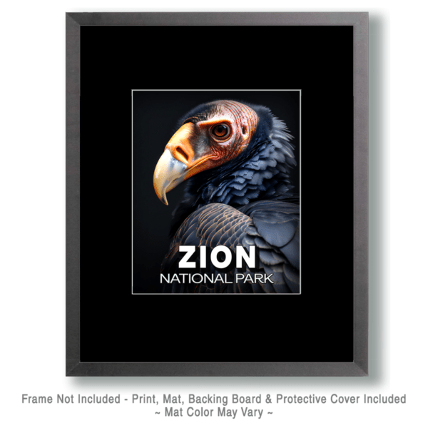 Zion National Park - Vulture Portrait Art