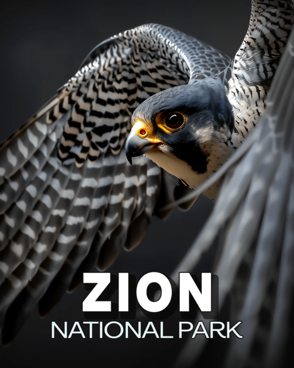 Zion National Park - Flying Peregrine Falcon