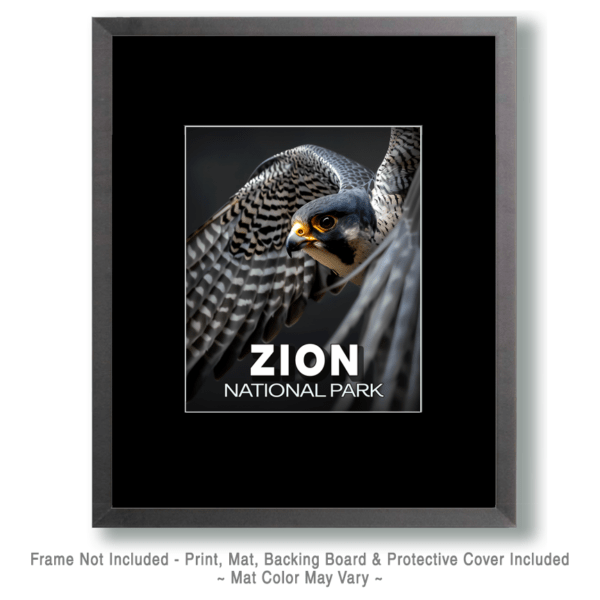 Zion National Park -Flying Peregrine Falcon Art