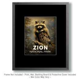 Zion National Park -Raccoon Kit Art