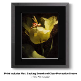 Fairy Sitting on a Yellow Tulip art print