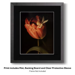 Baby Fairy in Red Tulip art print