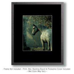 Horse Outside Castle Wall Art