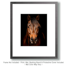 Chestnut Mare Portrait Art