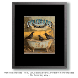 Colorado Ravens Art