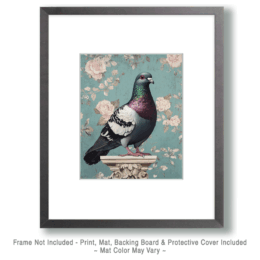 Pigeon Still-Life Art